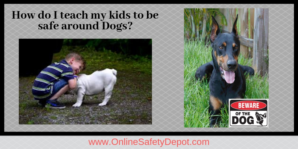 How do I teach my kids to be safe around Dogs?