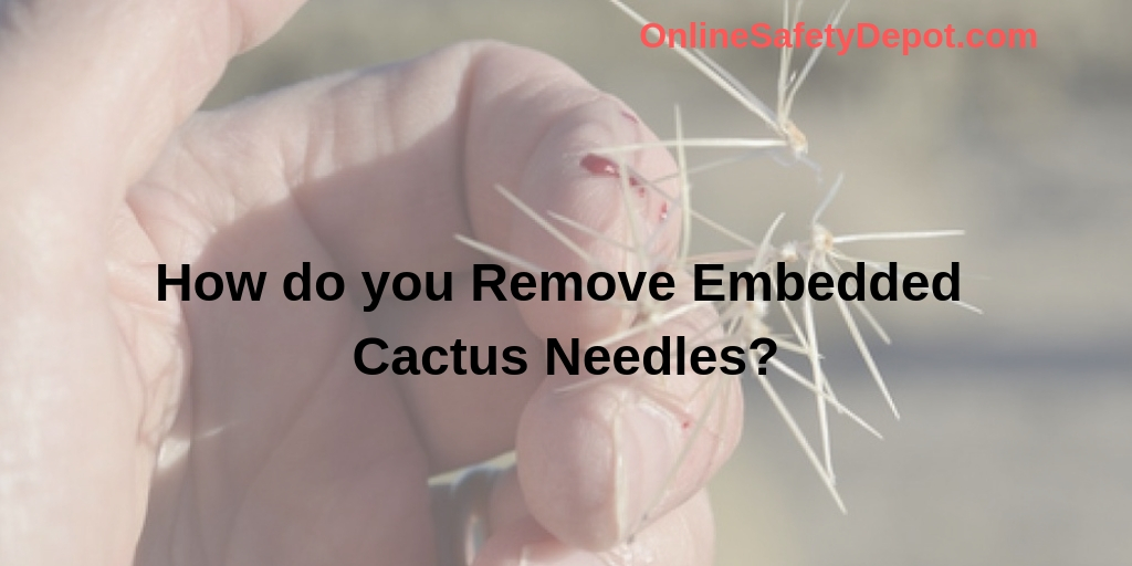 How do you Remove Embedded Cactus Needles?