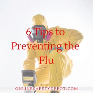 Six Tips to Preventing the Flu