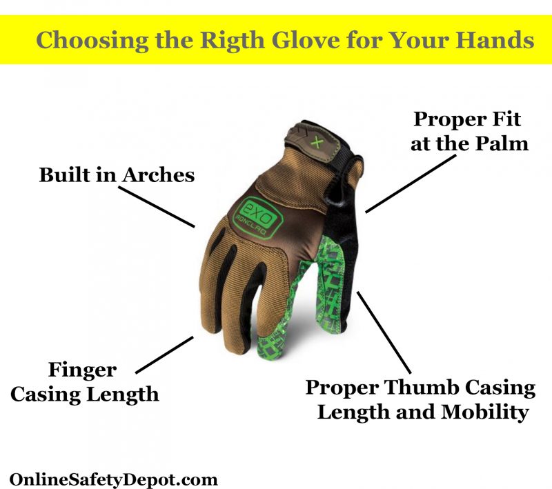 The Human Hand and Work Gloves