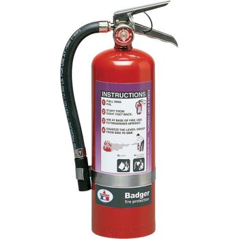 Badger™ Extra Purple K Extinguisher 5-Pound with Wall Hook